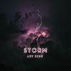 Storm(feat. zhr) - Sepehr Abv&Zhr