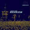 Dub Sub Star - Christian Tibor