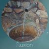 Fluxion - Lanel Shie