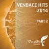 One Heart (Souhail Semlali & Paul Vinitsky Remix) - Paul Vinitsky&Fisher