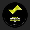 Abduction (Original Mix) - Ruben Mandolini