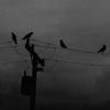 Started From The Bottom - Deadcrow