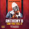 Can you feel it - Anthony B&Street Rockaz Family