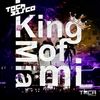King of Miami (Dub Mix) - Tocadisco