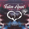 Fallen Apart Remixes 002 (Black Assertion Space Remix) - Linka&Lee