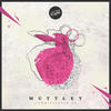 Commissioner (Original Mix) - Muttley