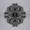 Stem Sequence - Off Land