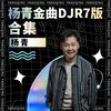 大声说过我爱你 (DJR7版) - 杨青