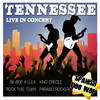 Twenty Flight Rock (Live) - Tennessee&Cochram&FAIRCHILD