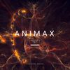 Infinity (Original Mix) - Animax