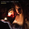 Bessinia (SynthDance Version) - Retronic Voice&Marcel de Van