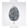 Hands - Roo Panes