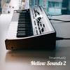 The Beat Goes On - TmanMusiQ&Akhona