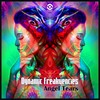 Angel Tears - Dynamic Freakuencies