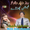 Sonay Lokeen Dey Nakhrey - Malik Afzal Shahzad