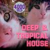 Sunny Beach (Radio Edit) - Tropical Flyerz&Jason Rivas