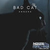 Bad Cat (Original Mix) - Anndra