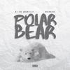 Polar Bear(feat. B1 The Architect) (Explicit) - NOCKNOCK&B1 The Architect