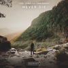 Never Die - Yoel Lewis&Sam Knight