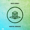 White Knight - Nico Brey&Nico Breuer