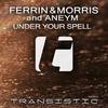 Under Your Spell (Original Mix) - Ferrin & Morris&Aneym