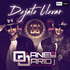 Dejate Llevar - D. Aney&Dario J.