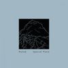 Special Place (Ruxpin Remix) - Muted
