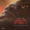 Smaddy Afi Feel It (Explicit) - Chronic Law