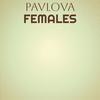 Pavlova Females - Malene Mannas