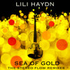 Sea of Gold (The Stereo Flow Radio Edit) - Lili Haydn&The Stereo Flow