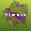 Mimosa - 西红柿炒番茄