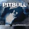 Watagatapitusberry - Pitbull&Lil Jon&Sensato&Black Point&El Cata