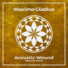 Acoustic Wound (Rework 2020 Radio Edit) - Maximo Gladius