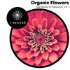 Milky Ways (Original Mix) - Krith Iyer