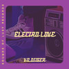 Electrolove (Extended Mix) - Vildtiger