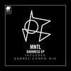 Immortal (Original Mix) - MNTL&Montel