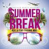 Summer Break (Original Mix) - Pex L&Tewi