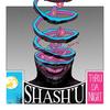 Don't Fight It - shash'u