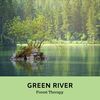 Green River (Original Mix) - Forest Therapy