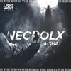 In The End - Necrolx&Aisha