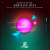 Achilles Heel (Yashar Remix) - Shayan Pasha&Yashar
