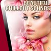 Negril (Original Mix) - The Biosnakes