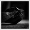On Wings Enraptured - Charlie Rauh&Ess See&Louis Logic