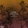 Sinestesia (Donatello Remix) - Corei