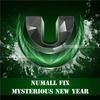 Mysterious New Year (Original Mix) - Numall Fix