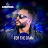 For The Gram (Radio Edit) - Sightseer