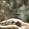 Justice Smooth - Cedric Egli
