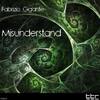 Misunderstand (Original Mix) - Fabrizio Gigante