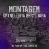 MONTAGEM CRYNOLOGYA MERYDYANA (Explicit) - DJ WHITE ZL&MC COREIA ZL&MC FURI SP