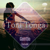 The Policy (Original Mix) - Toni Tonga